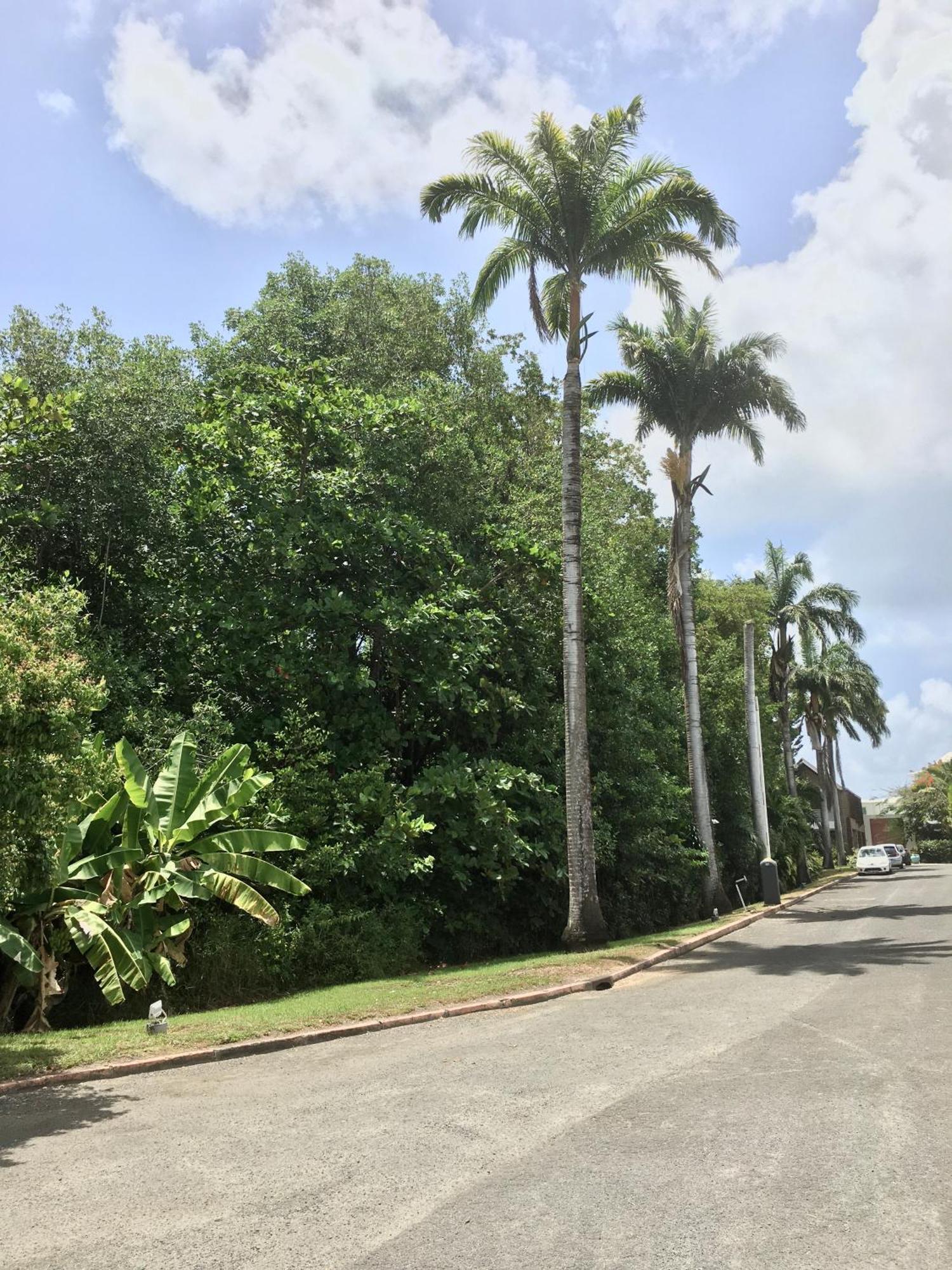 Appartement St Francois Manganao Guadeloupe Saint-Francois  Exteriör bild